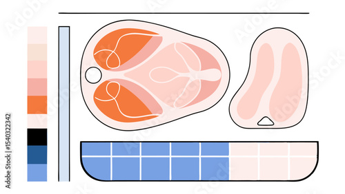 Butcher Chart Meat Cut Diagram with Color Palette