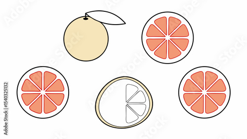 Grapefruit Illustration Whole and Sliced