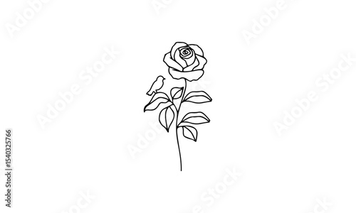 hand-drawn rose with a bird