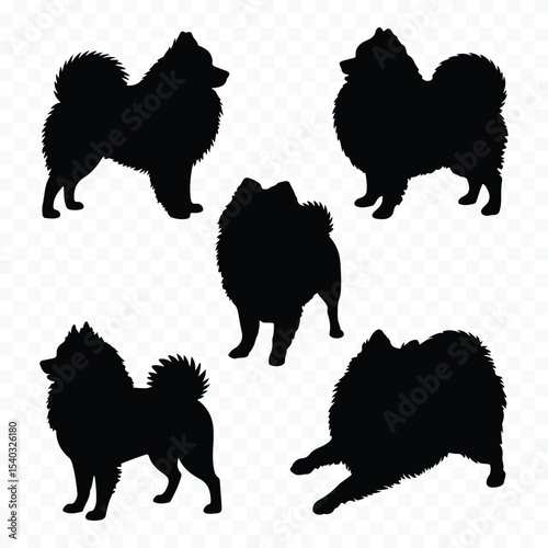 Five pomeranian dog silhouettes set