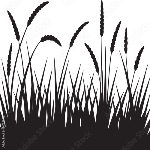 Silhouette of grass and wheat plants against a white background in a simple minimalist style design