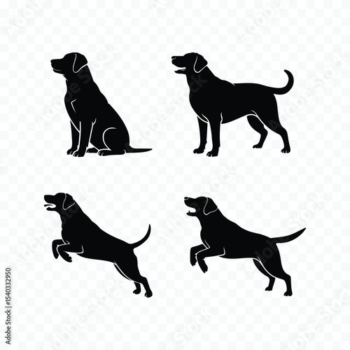Four labrador dog silhouettes in different poses silhouette