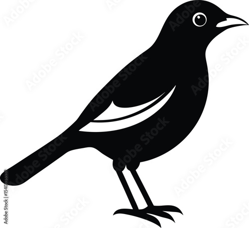 Common Myna silhouette vector art illustration and minimal black and white design