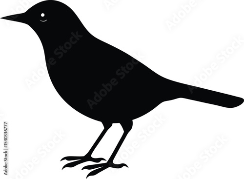 Dusky Thrush silhouette vector art illustration and minimal black and white design