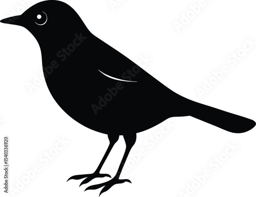 Eurasian Thrush silhouette vector art illustration and minimal black and white design
