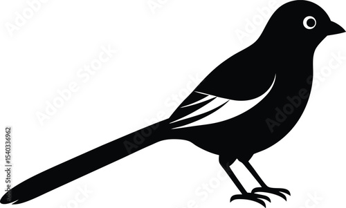 Fire Tailed Myzornis silhouette vector art illustration and minimal black and white design