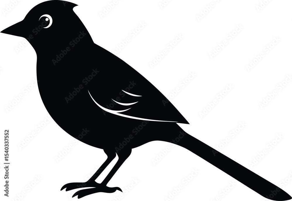 Obraz premium Red Vented Bulbul Bird silhouette vector art illustration and minimal black and white design