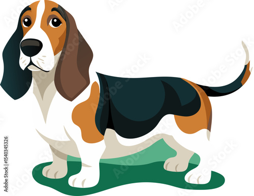 Basset Hound dog vector