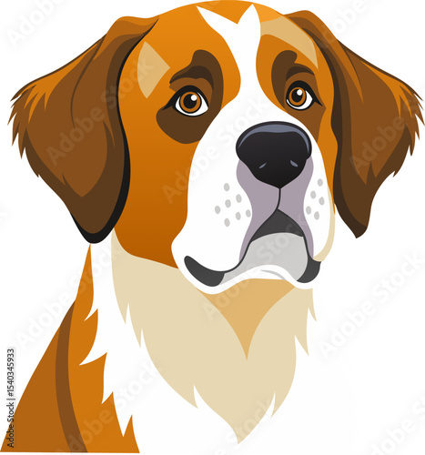 Saint Bernard dog vector 