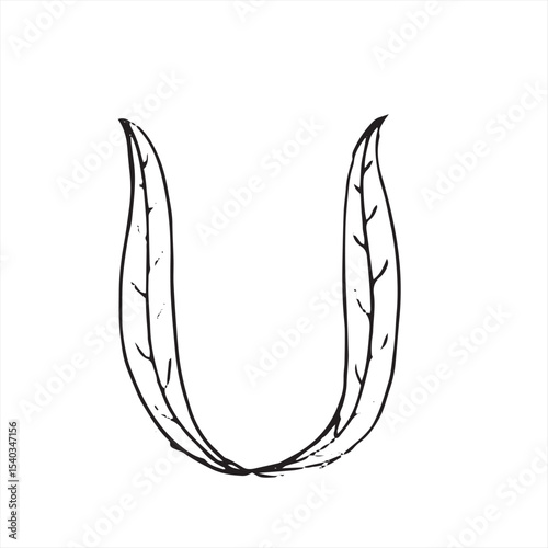 Hand drawn sketch, nature theme font style