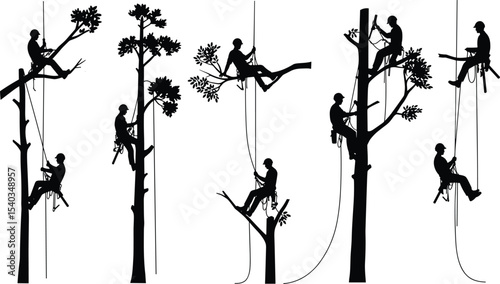Tree climbing arborist silhouette vector, tree cutting worker clipart, pruning illustration set, arbor work graphic, rope climbing man design, safety gear icons