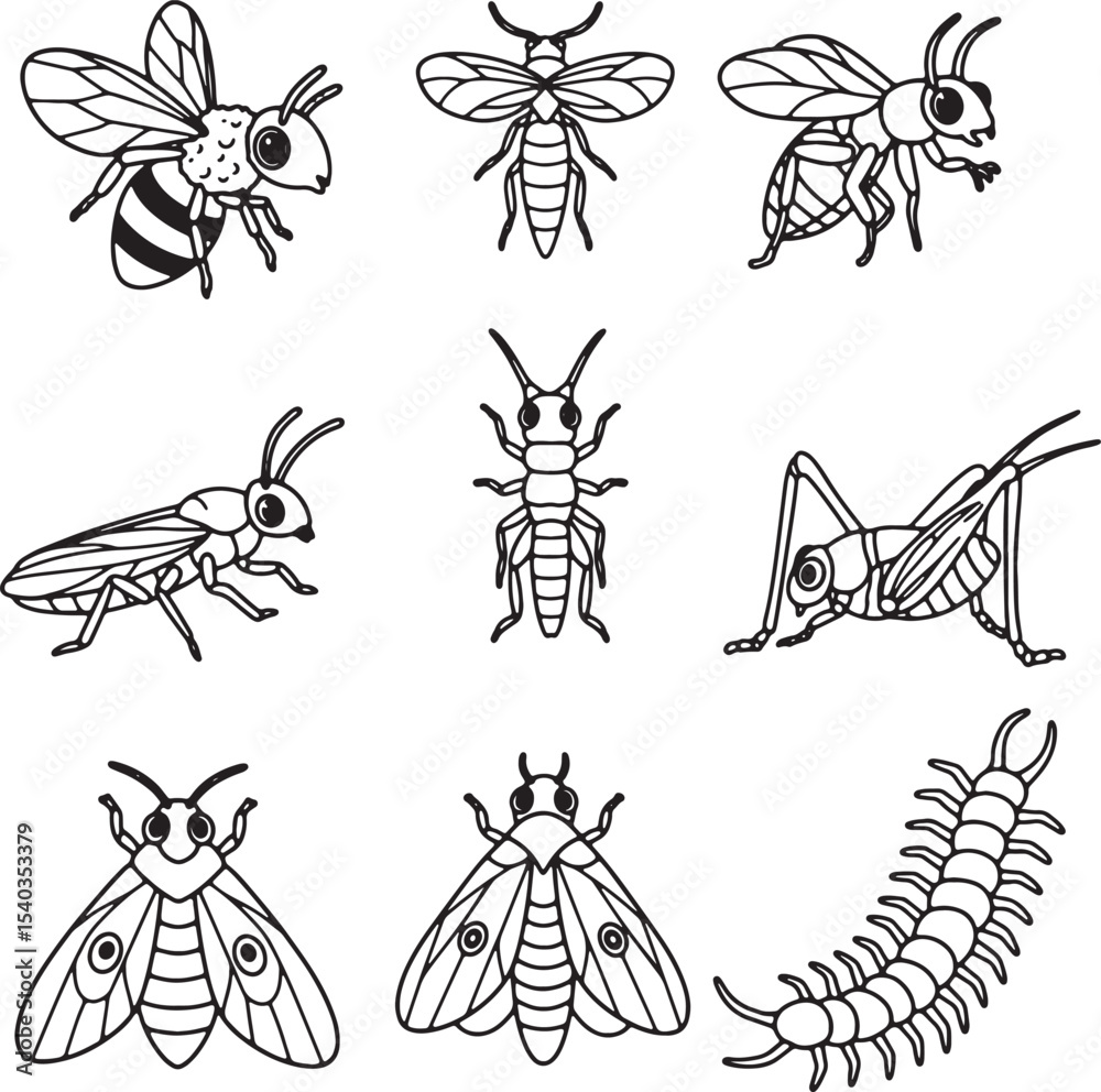 Collection of Nine Detailed Line Drawings of Insects Bees, Grasshoppers, Moths, and Centipedes