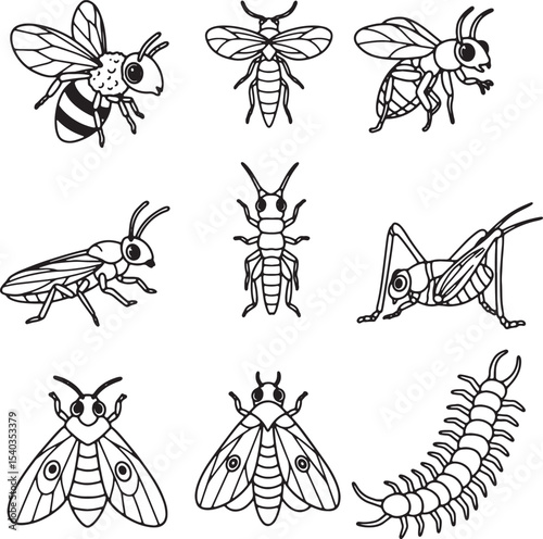 Collection of Nine Detailed Line Drawings of Insects Bees, Grasshoppers, Moths, and Centipedes