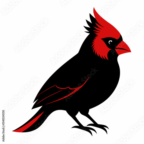 Northern Cardinal silhouette black color bird on white background