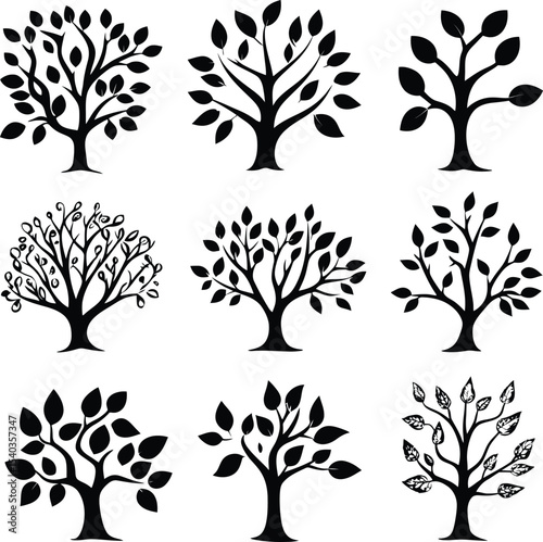 Majestic tree silhouettes natures evening embrace sky dark trees night woods