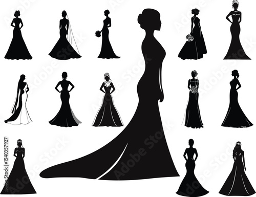 Elegant bridal silhouette graceful pose wedding dress silhouette