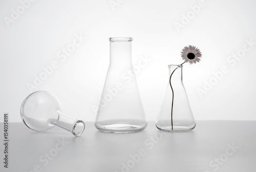 laboratory flasks and a flower on a table on a white background