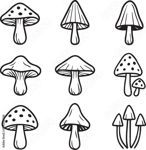 Set of mushroom