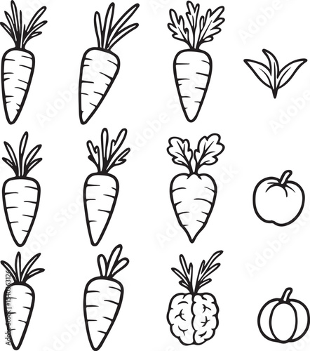 Set of carrot