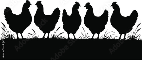 Silhouette of five chickens standing in a field of grass against a white background illustration