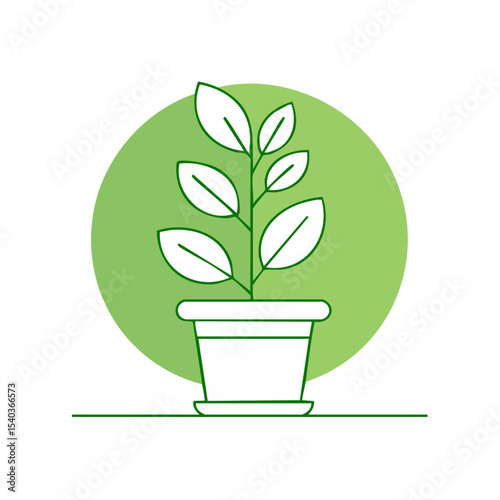 Growing Plant in White Pot Against a Green Circular Background Minimalist Indoor Gardening
