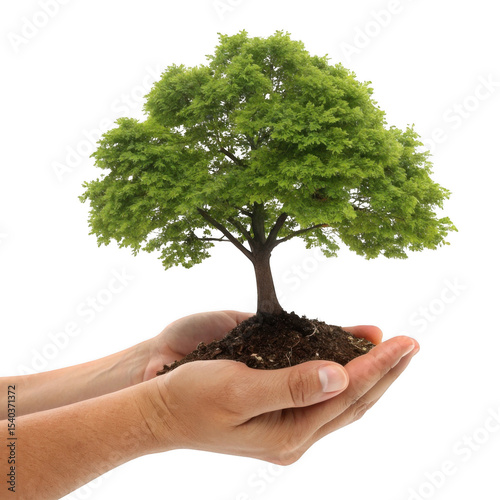 Human hands holding a growing tree symbolizing conservation and environmentalism