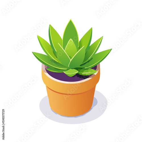 Isometric houseplant in pot illustration. Bright green succulent plant in terracotta pot on black background.