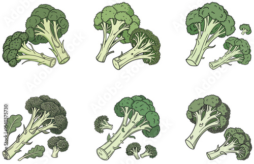 Broccoli Head Vector Designs Set Wholesome and Green Vegetable Illustrations for Food Art and Branding Projects