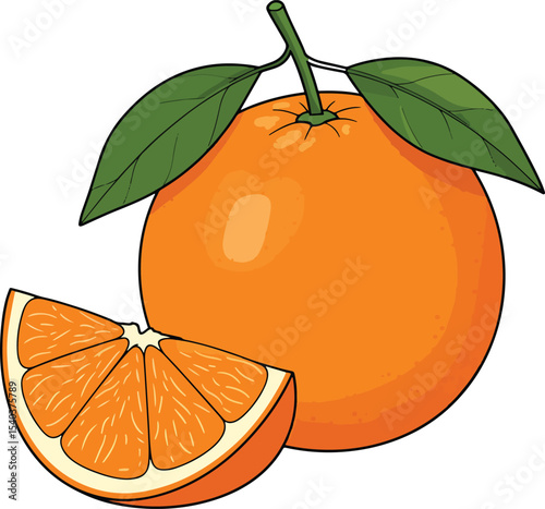 orange fruit vector illustration