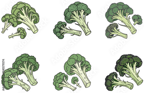 Broccoli Head Vector Designs Set Fresh Green Vegetable Illustrations for Healthy Food Graphics and Creative Use
