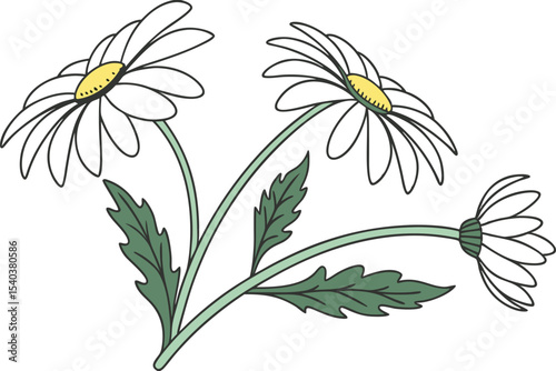 Daisy Flower Illustration Design. Hand Drawn Daisy Flower Art. Beautiful Daisy Blossom Drawing. Elegant Daisy Flower Composition. Colorful Daisy Floral Artwork. Flat Style Daisy Flower Design