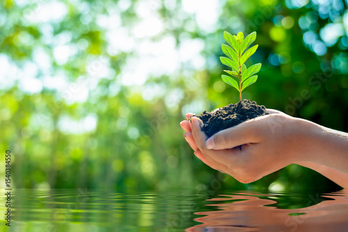 environment Earth Day Water Tree Hand. Green Hand Holding Nature Environmental Conservation and Hope