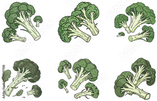 Broccoli Head Vector Designs Set Simple and Fresh Green Vegetable Art for Creative Projects