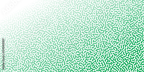 Abstract Reaction-diffusion Turing pattern natural texture green and white gradient color scheme. Linear design with biological algorithm psychedelic background. Reaction-diffusion or truing patter