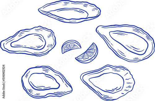 Set of hand drawn oyster with lemon vector illustration. Seafood mussel delicacy isolated on white background. La dolce vita Italian style.