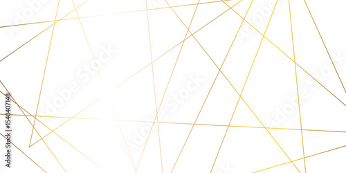 Luxury premium shiny golden geometric lines overlap design for cosmetic product cover background. Vector geometric luxury golden lines for banner, template, book cover, cosmetic product cover.	
