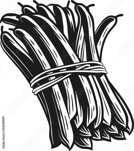 Bundle of fresh green beans tied together hand drawn vegetable illustration in black and white, healthy organic produce