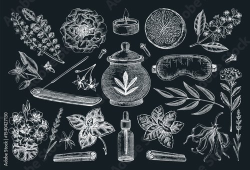 Aromatherapy, spa and wellness hand-drawn vintage illustrations. Essential oil bottle, incense holder, sleep mask, herbs, organic ingrediet sketches. Self care design elements. NOT AI generated