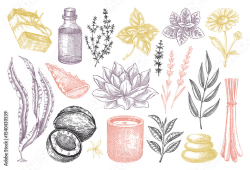 Spa and wellness hand drawn vector illustrations. Relaxation design elements. Herbal medicine sketches set. NOT AI generated
