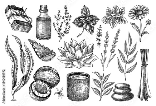 Spa and wellness hand drawn vector illustrations. Relaxation design elements. Herbal medicine sketches set. NOT AI generated