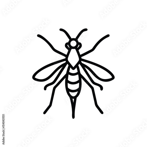 Hand drawn line art mosquito insect vector illustration