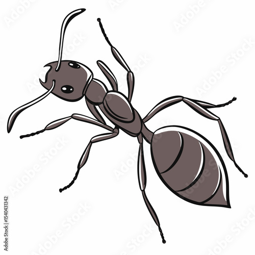 vector illustration ant on white background