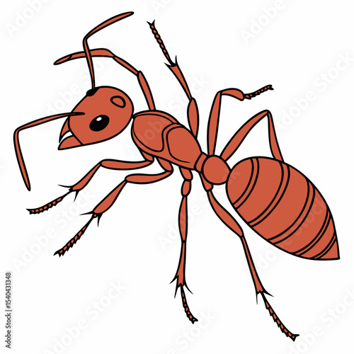  vector illustration ant on white background