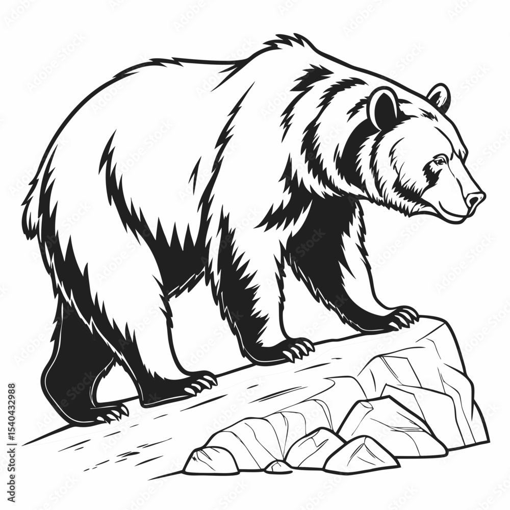 Obraz premium polar bear vector illustration
