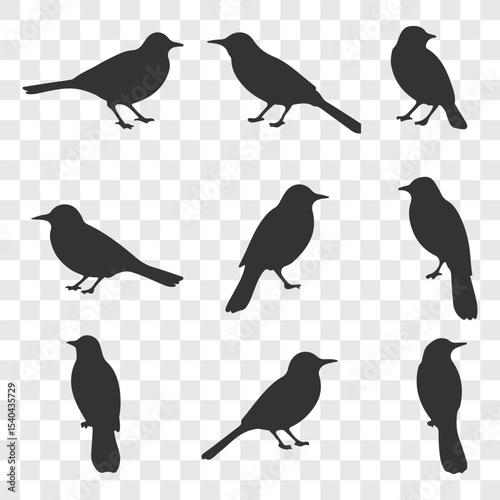 Flat and Minimal crow icon vector illustration isolated on white background an bart icon