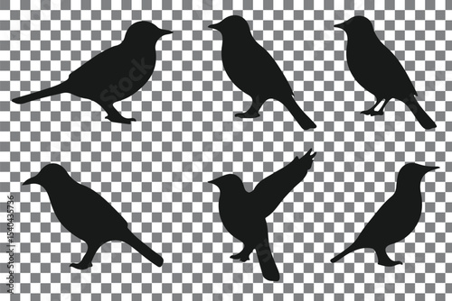 Flat and Minimal crow icon vector illustration isolated on white background an bart icon