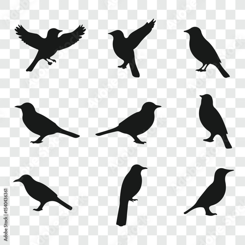 Flat and Minimal crow icon vector illustration isolated on white background an bart icon