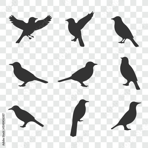 Flat and Minimal crow icon vector illustration isolated on white background an bart icon