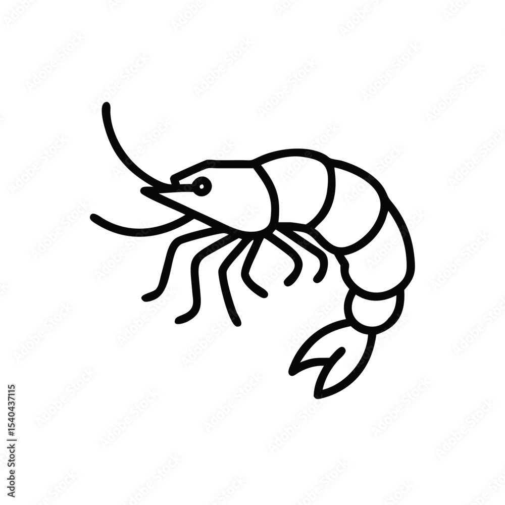 Fototapeta premium Hand drawn line art illustration of a shrimp seafood