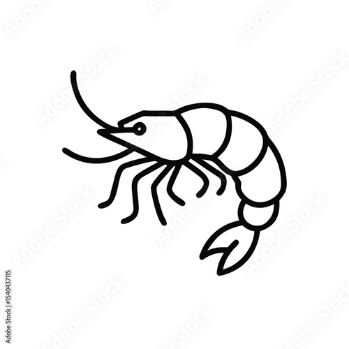 Hand drawn line art illustration of a shrimp seafood